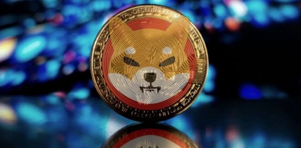 2 billion SHIB worth $26,000 burned over past 7 days in 236 transactions!!