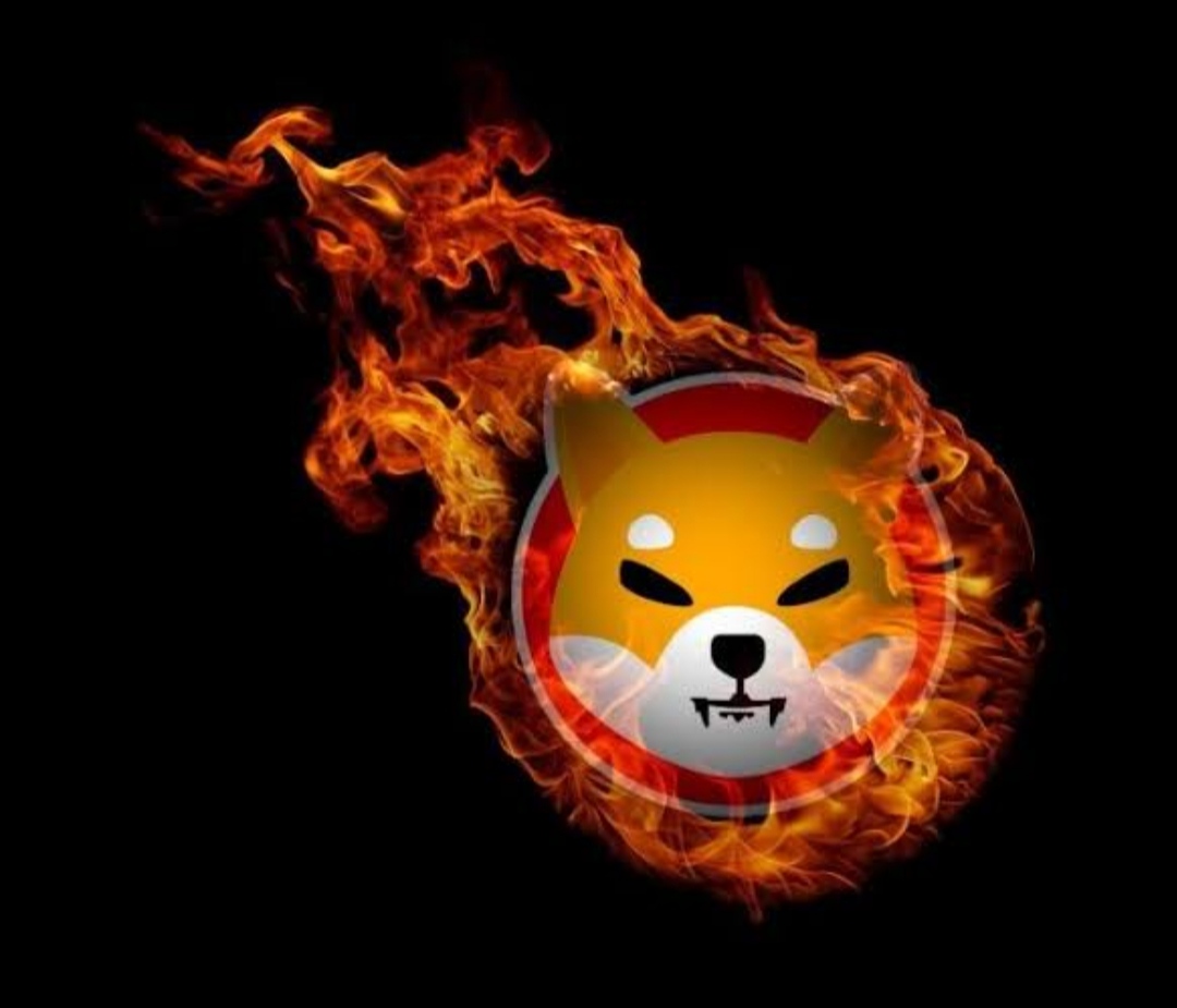 2.41 billion Shiba Inu burnt in past 7 days, 96 million in 24 hrs!!