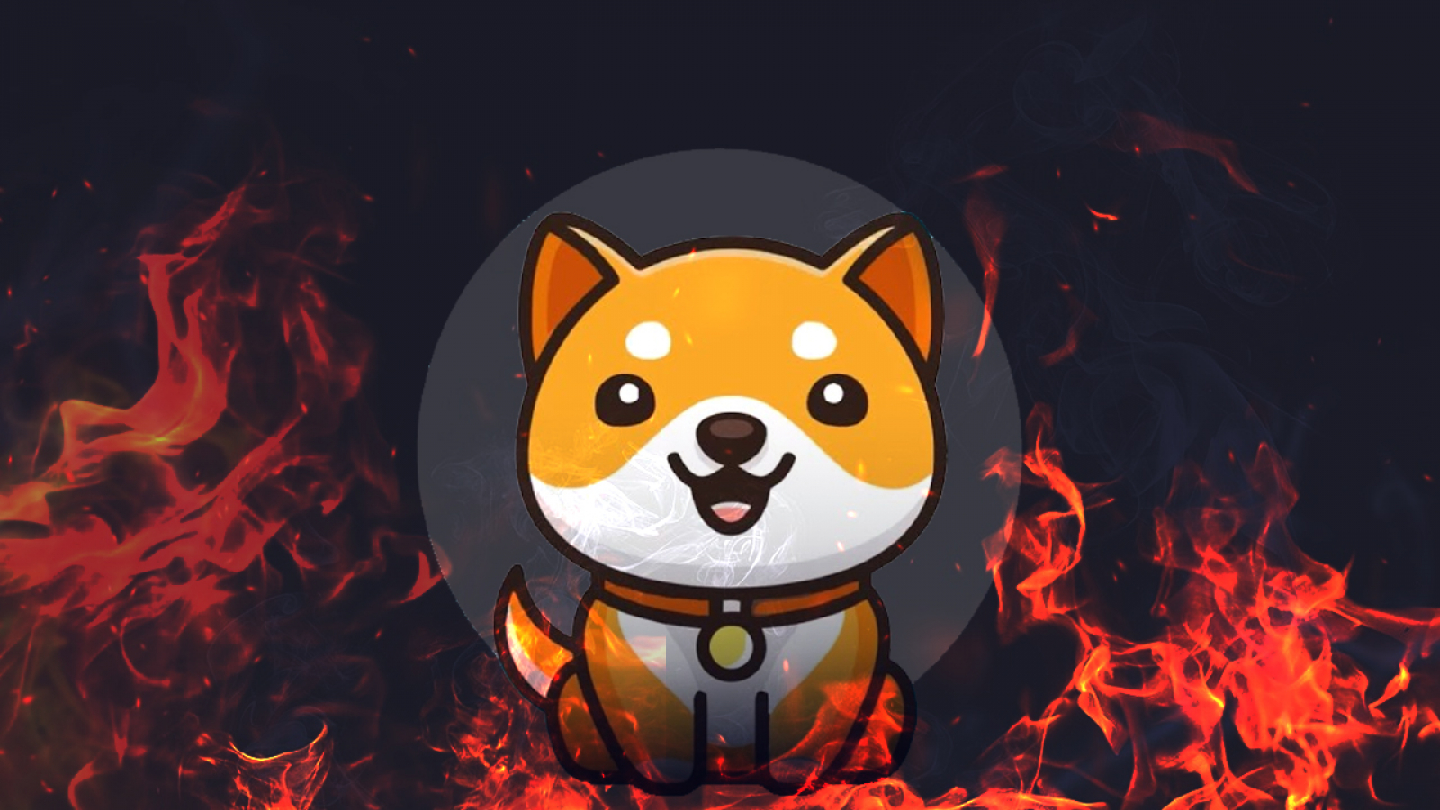 Baby Doge surged by 8.50% in the last 24 hours