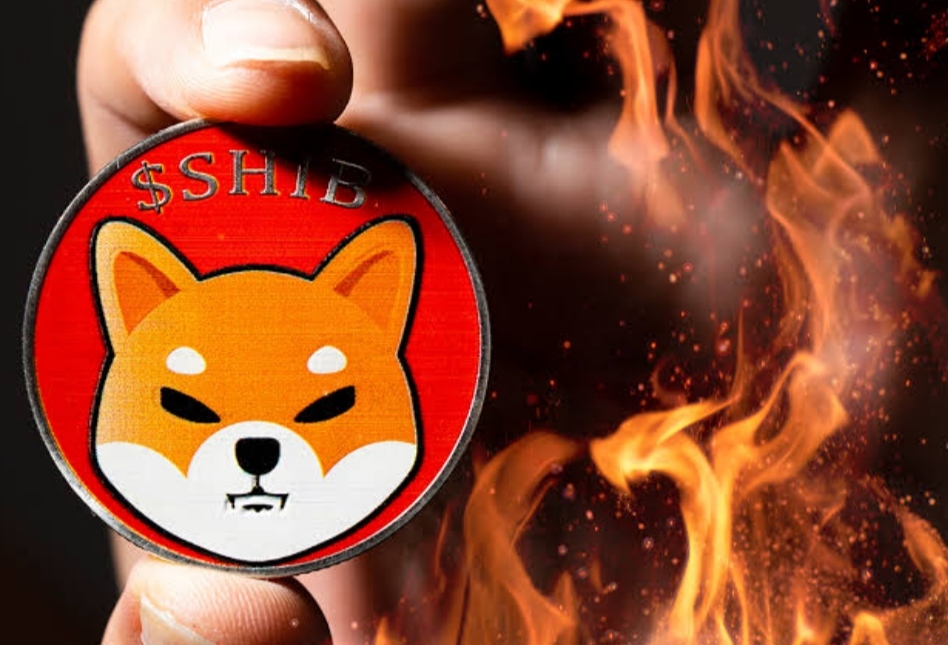 More than 119 million Shiba Inu tokens burned in last 24 hours