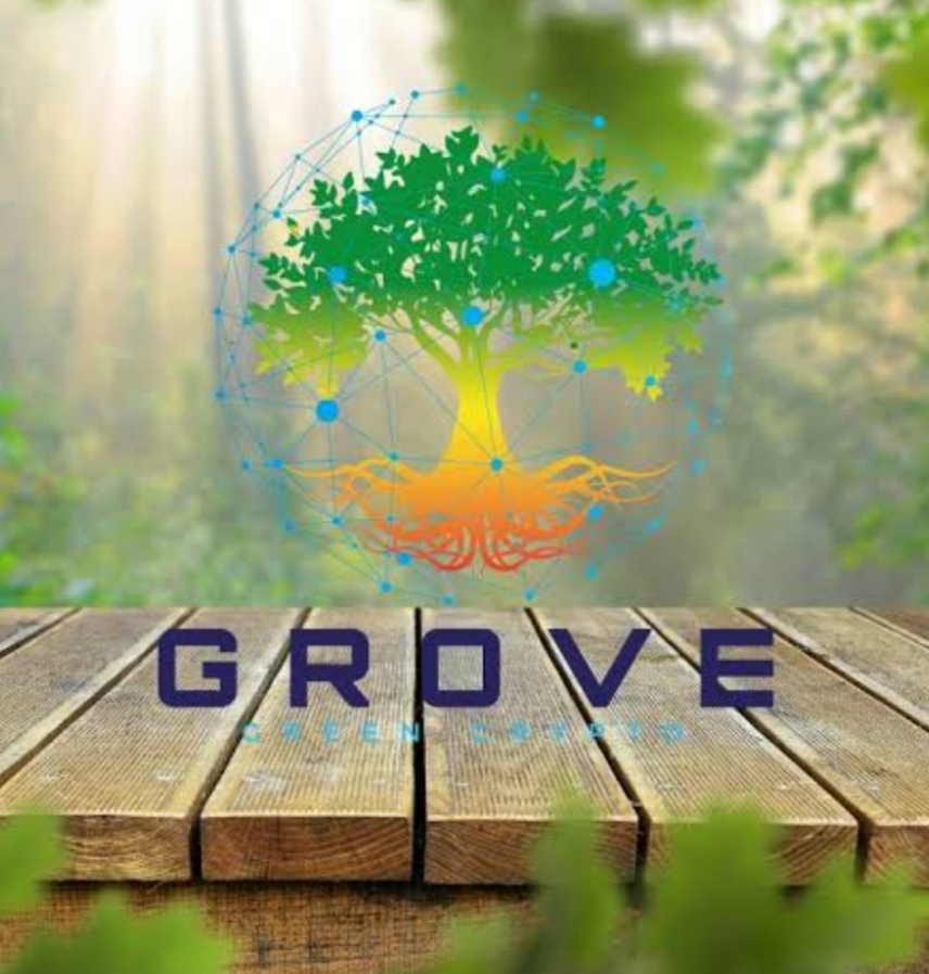 Grove Token: What is Grove (GVR)?