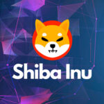 Shiba Inu | The Number Of Testers On Shibarium Has Been Rapidly Increasing