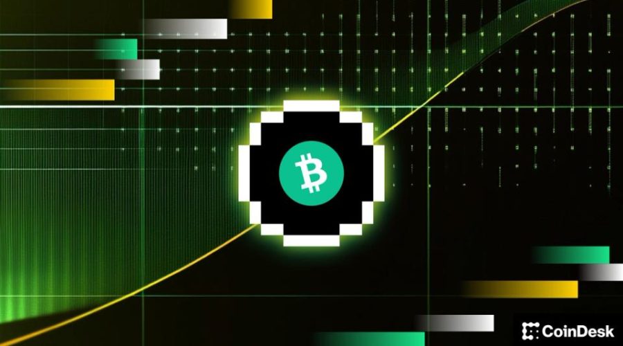 BTC price hits wall at $80,000, one analyst says the pullback is temporary: Crypto Daily