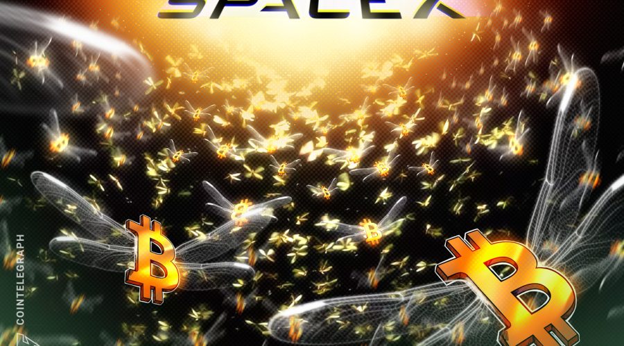 SpaceX Unveils Larger-Than-Expected Bitcoin Stash