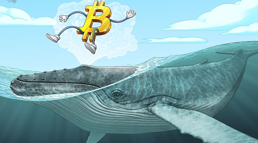 50K BTC Flow Adds Pressure To Bitcoin Price: Will The Sell-off Deepen?