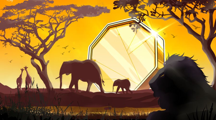 Zimbabwe Adds Seven Fintech Projects to Regulatory Sandbox