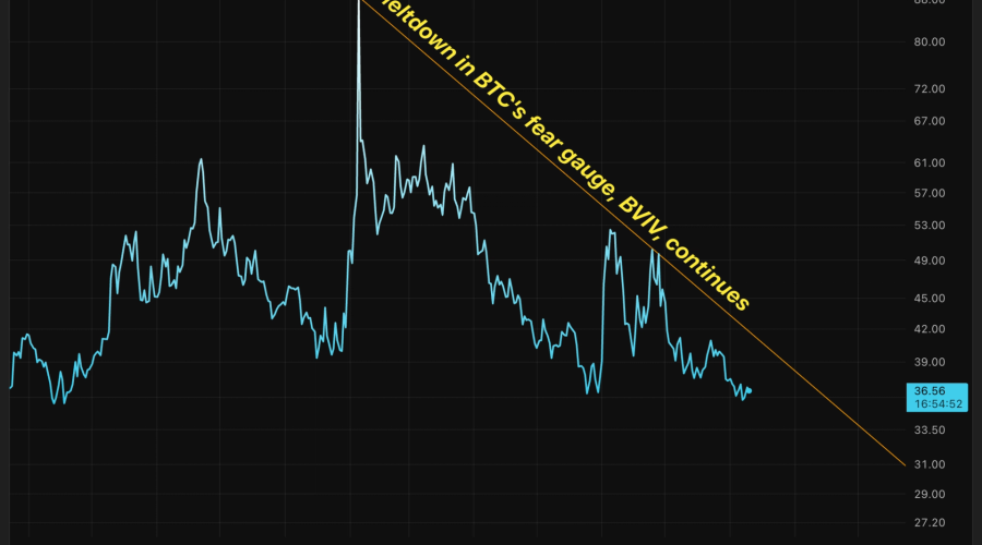 Bitcoin’s BVIV ‘fear gauge’ has crashed. Still, downside protection isn’t cheap